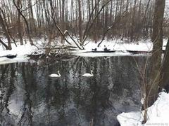 Городской конкурс мобильной фотографии 