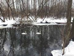 Городской конкурс мобильной фотографии 