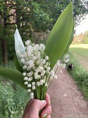 Городской конкурс мобильной фотографии 