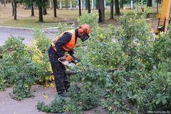 Спасатели Жодинского городского отдела по чрезвычайным ситуациям провели тренировку по оперативному устранению возможных аварийных ситуаций.