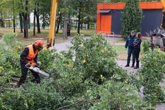 Спасатели Жодинского городского отдела по чрезвычайным ситуациям провели тренировку по оперативному устранению возможных аварийных ситуаций.