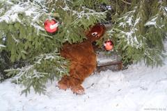 Встречаем Новый год!