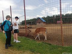 2 неделя детского оздоровительного лагеря  «Счастливое детство»