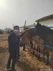 Посещение конефермы (в рамках Недели туризма и краеведения)