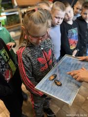 Новости Новости