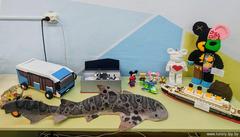 Информация по итогам городского конкурса 