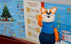 Безопасный Новый год в Жодино: праздник знаний и заботы о каждом