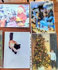 Информация по итогам проведения городского фотоконкурса «Мгновения»