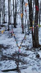 Информация по итогам проведения городского фотоконкурса «Мгновения»