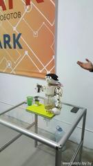 Информация по итогам проведения городского фотоконкурса «Мгновения»