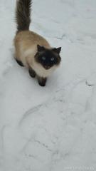 Информация по итогам проведения городского фотоконкурса «Мгновения»