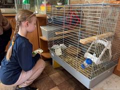 Весенние каникулы — это не только отдых, но и новые открытия!