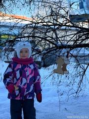 Итоги городской эколого-краеведческой акции «Покормите птиц зимой» подведены!