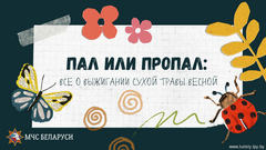 Пал или пропал: все о выжигании сухой растительности