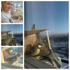 Итоги городской эколого-краеведческой акции «Покормите птиц зимой» подведены!