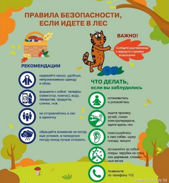 Как не потеряться в лесу Как не потеряться в лесу