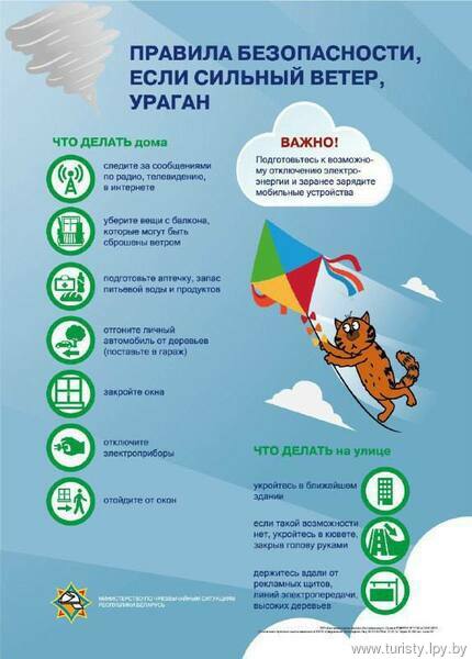 Правила безопасного поведения при сильном ветре. 